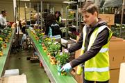 Defra promises seasonal worker visas until 2030 and retains EU agreement hopes as landmark roadmap launches + industry reaction